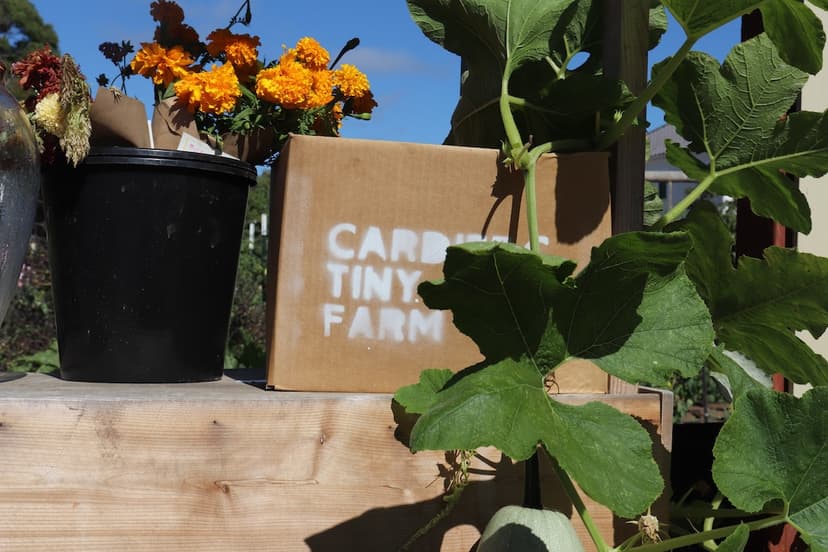 The Business of Being a Little Odd