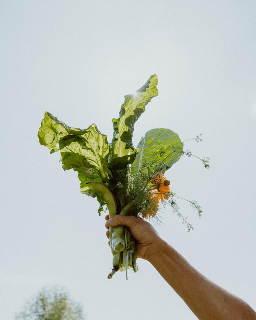 Where I'm At and Where Are We Going in 2026?