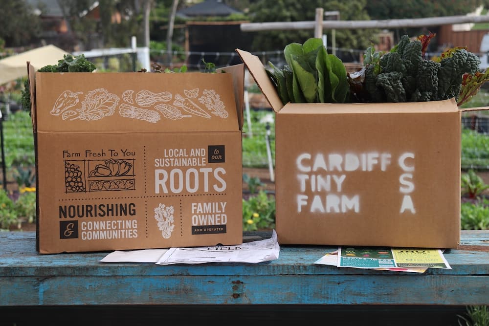 What I Learned Comparing Our CSA to Farm Fresh to You