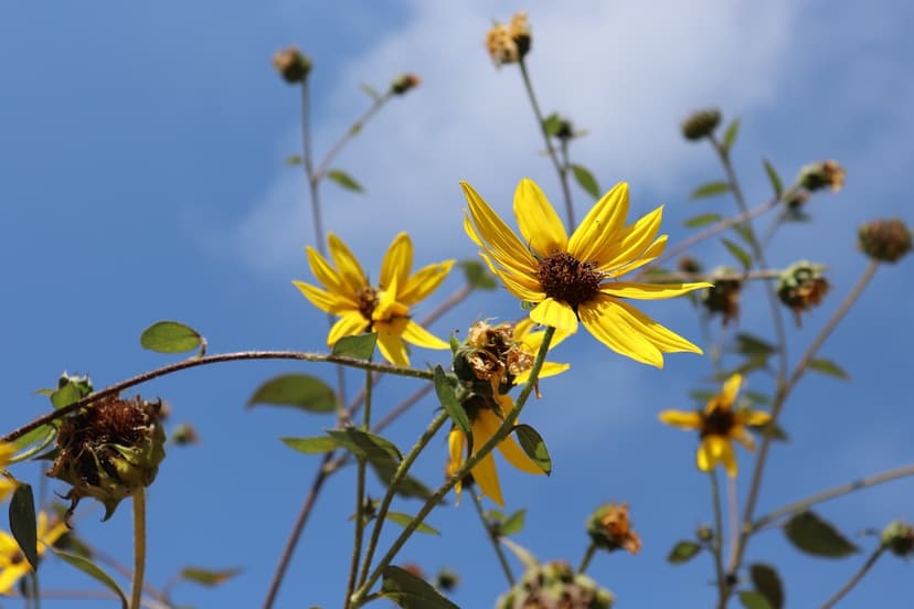 An Endless Flow of Gratitude 