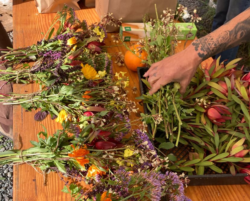 I Didn’t Grow Up Crunchy