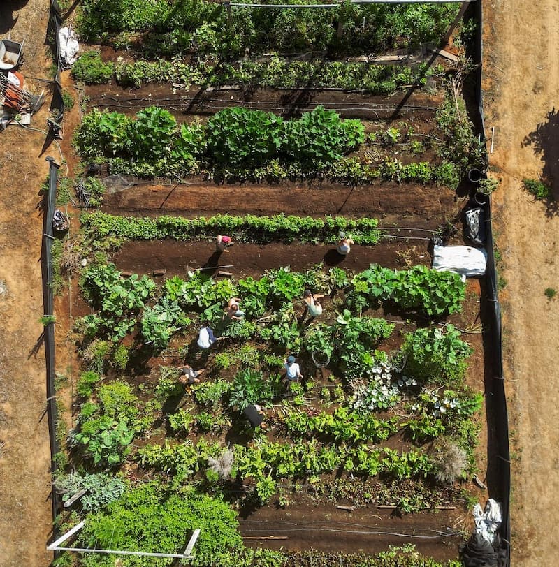 What we heard! (And what we've been up to!)