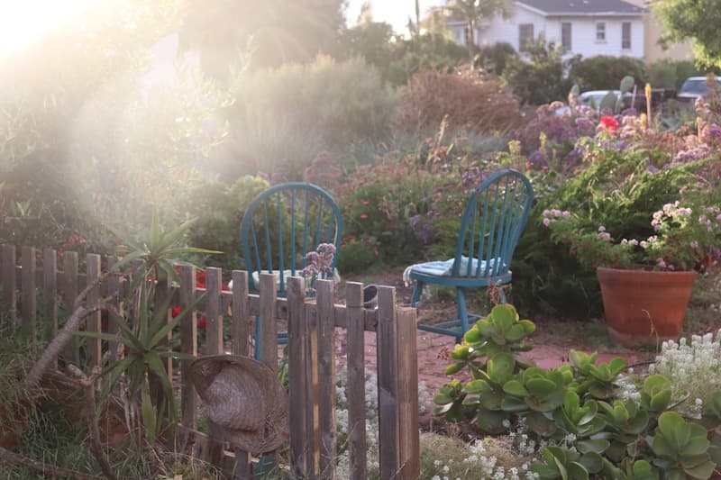 The (Not So) Tiny Farm