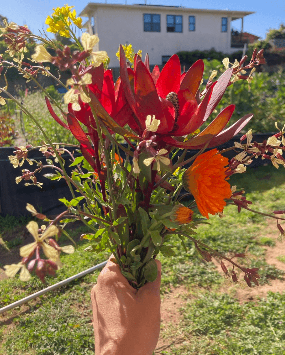 On Ritual, Routine, Ruts, and Revival