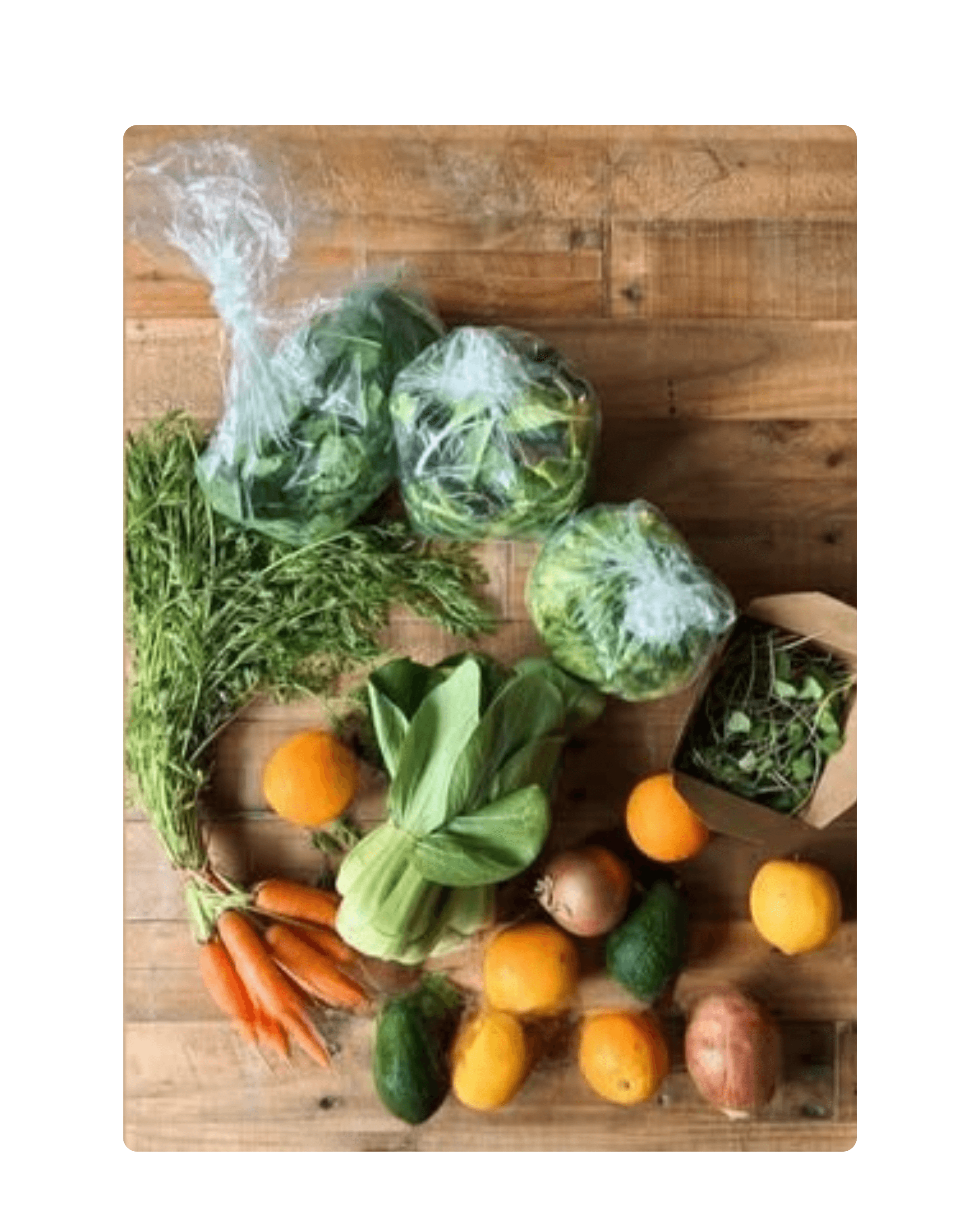 Preview of the Wed Jul 22 CSA box