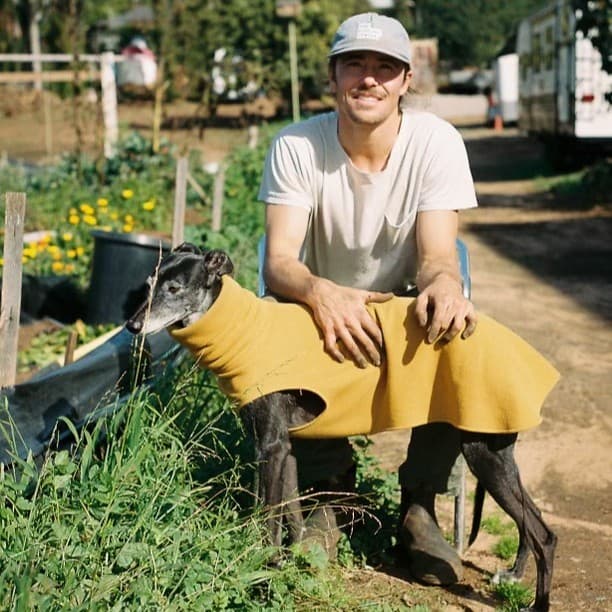 Aerial view of Cardiff Tiny Farm