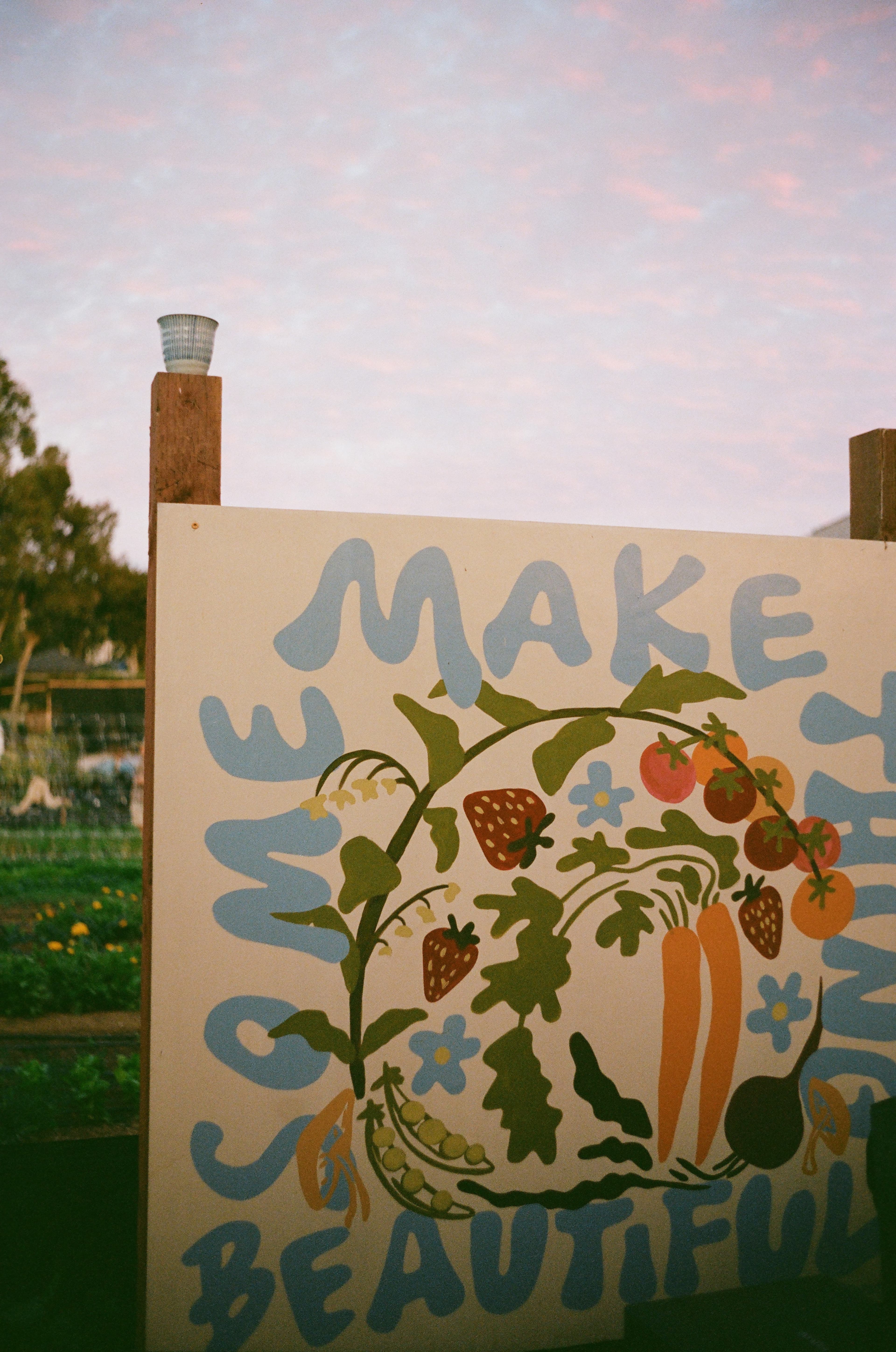 Natural Dye Workshop
