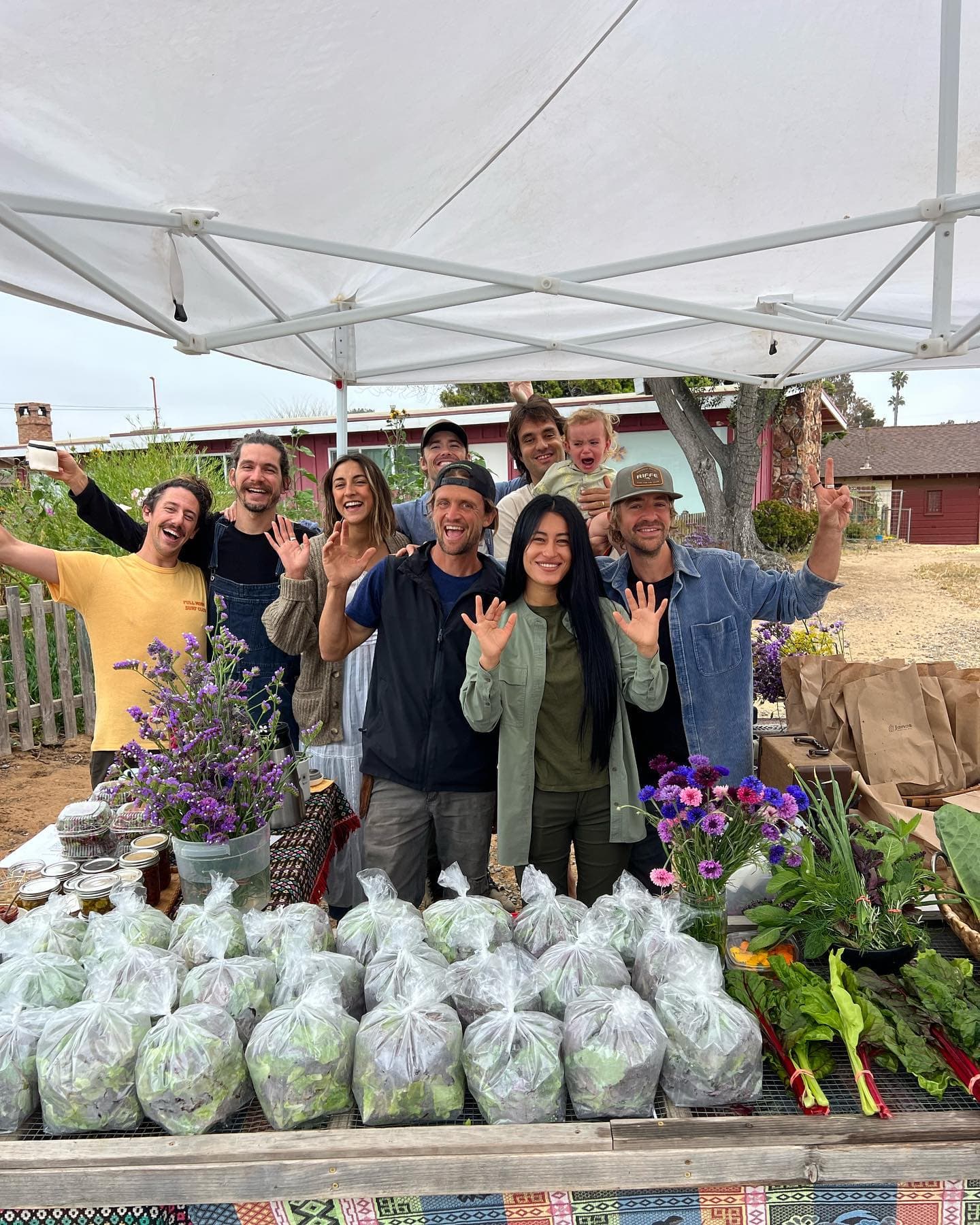 Cardiff Tiny Farm Timeline