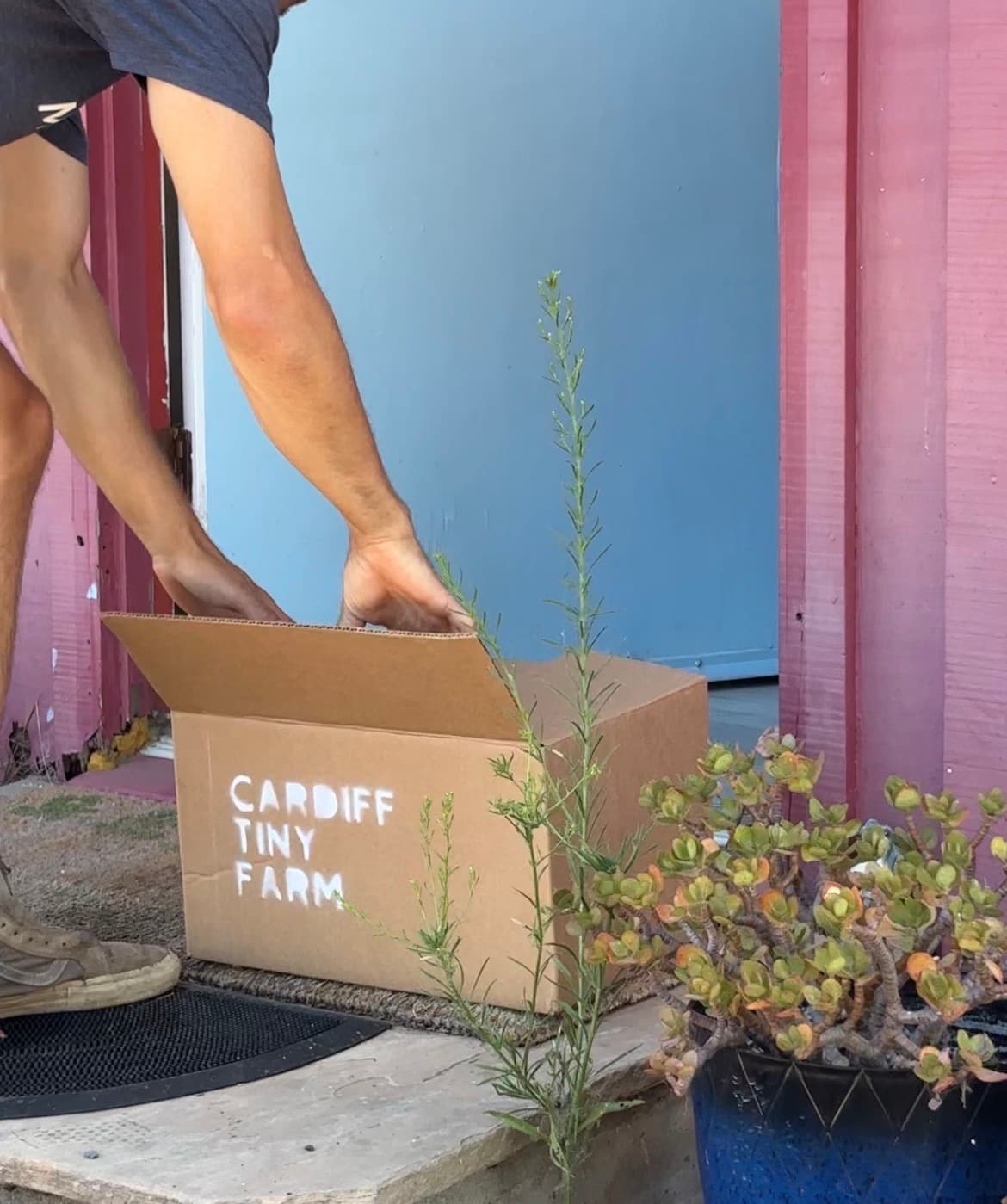 Dropoff location at Cardiff Tiny Farm