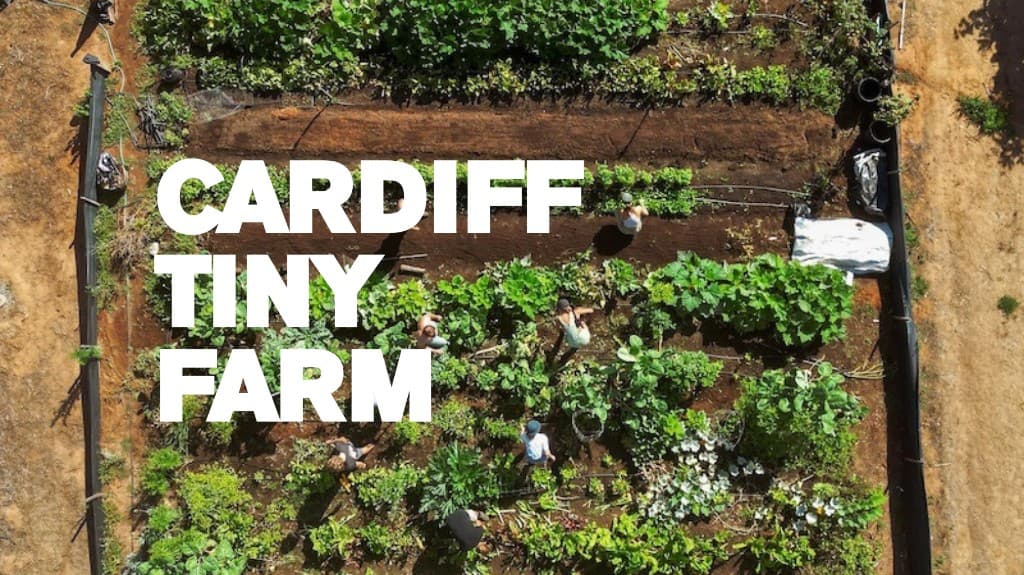 Cardiff Tiny Farm