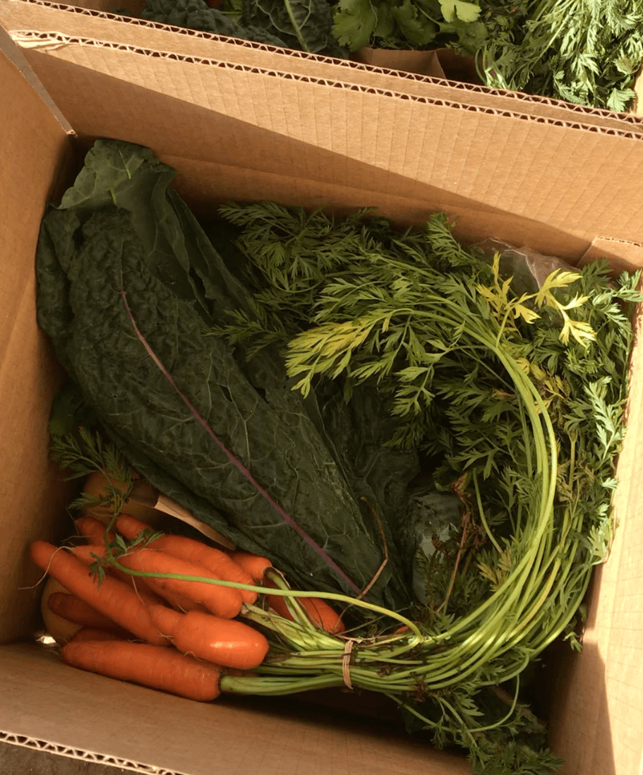 Fresh produce in CSA box