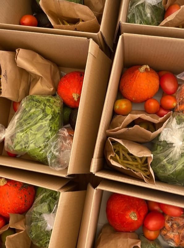 Fresh produce in CSA boxes