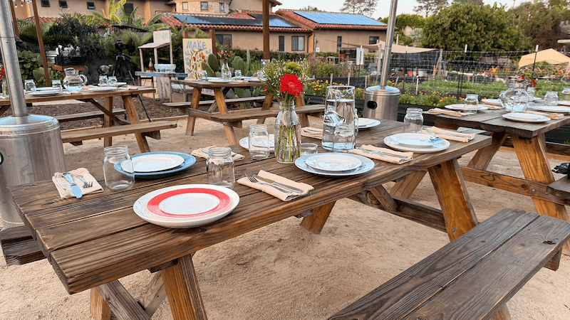 Seeing the Tiny Farm for the First Time