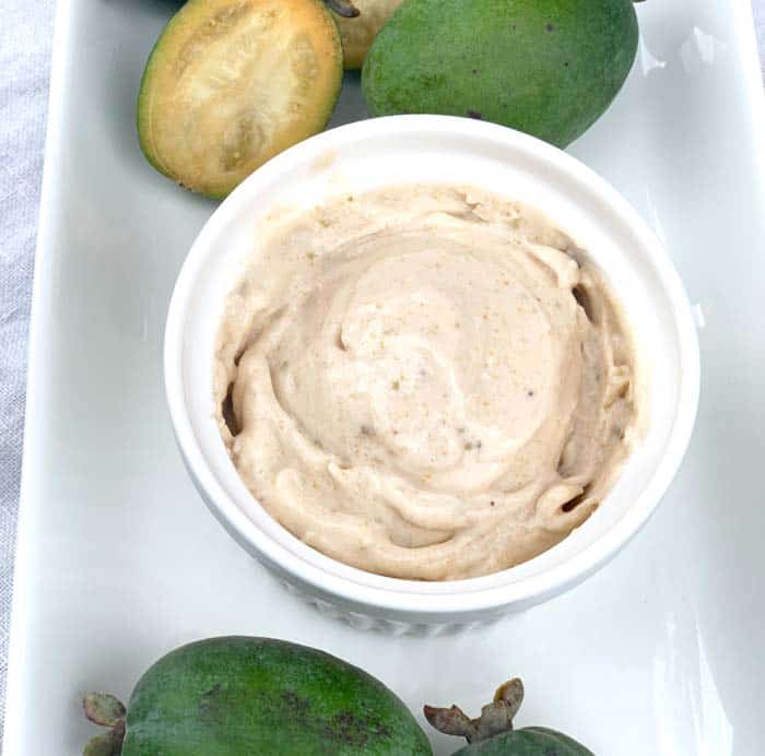 Pineapple Guava Ice Cream (Blender, No Sugar Added)